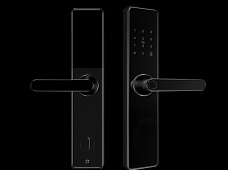 青松沃德-Wi-Fi 指紋鎖家用防盜門智能門鎖密碼鎖刷卡電子鎖 防磁干擾 防撬 L9-WT (不含鎖體，鎖體需另購）